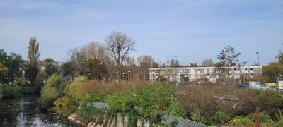 Bild Lissy Theurer: Wasenparkplatz WN